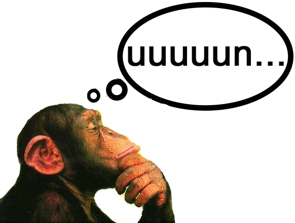 mono-pensando
