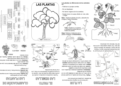 Mini-libro-Las Plantas