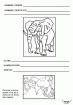 ficha-elefante