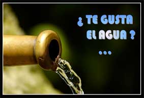 tegustaelagua