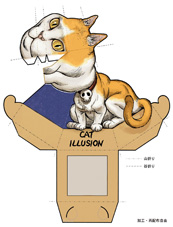 cat_illusion1