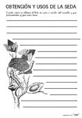 cuaderno_observacion_mariposa-seda-08-copia