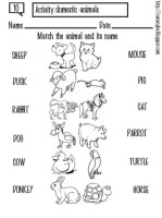 10-domestic-animals-p