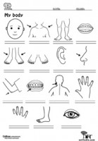 body-01-p