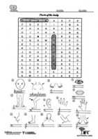 body-02-p