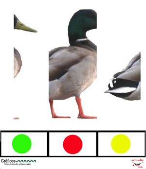 puzzle_visual_pato