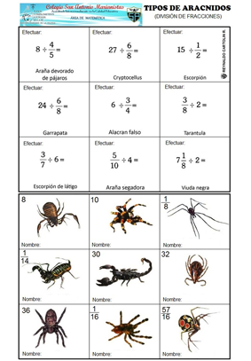 clases de arañas