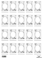 Identificación Individual