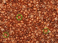 granos-cafe-bebes-sol