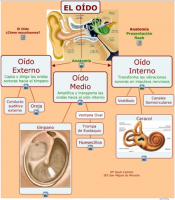iodo
