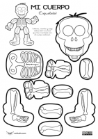 Cuerpo y Esqueleto 2