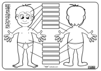 Cuerpo Musculos niño