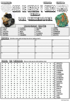 sopaybingolosminerales