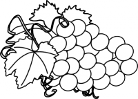 racimo
