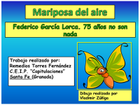 MARIPOSA DEL AIRE-1