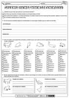 Ejercicios para la vida de los animales 01