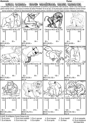 mcdprimates