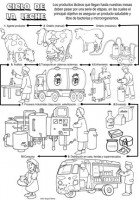 Microsoft Word – ciclosvarios