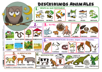 Describimos Animales P