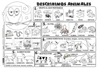 Describimos Animales P BN