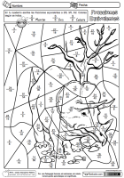 Fracciones equivalentes 02