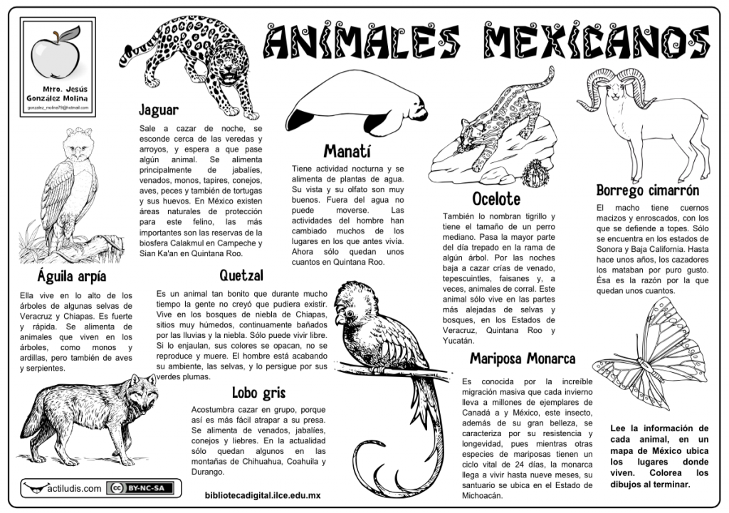Animales mexicanos