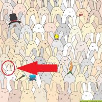 huevo de  Pascua solución