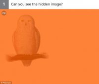 imagen ocualta01_sol