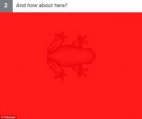 imagen ocualta02_sol