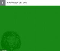 imagen ocualta05_sol