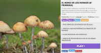 EL REINO DE LOS HONGOS