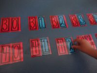 FAMILIAS_NUÉRICAS_ (3)