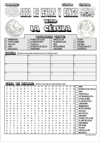 «SOPABINGOCÉLULA»