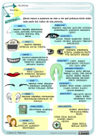 DESCRIBIMOS ROSTROS II