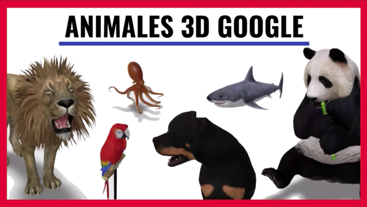 El truco de Google para ver un tiburón o un tigre en 3D en el