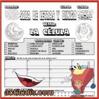 Sopa-y-bingo-célula