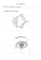 CUADERNILLO-LOS-SENTIDOS4