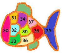 Peces_Con_Numeros-04