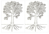 RECORTES-REINO-VEGETAL1