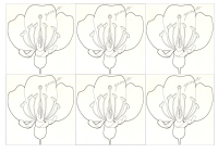 RECORTES-REINO-VEGETAL11