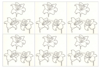 RECORTES-REINO-VEGETAL12