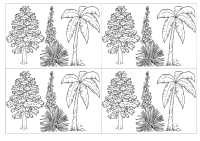 RECORTES-REINO-VEGETAL19