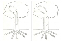 RECORTES-REINO-VEGETAL2