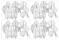 RECORTES-REINO-VEGETAL20