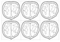 RECORTES-REINO-VEGETAL5-1