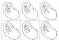 RECORTES-REINO-VEGETAL6