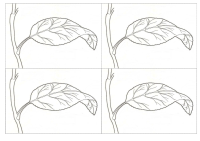 RECORTES-REINO-VEGETAL8