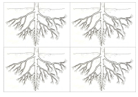 RECORTES-REINO-VEGETAL9