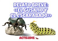 EL-GUSANO-Y-EL-ESCARABAJO